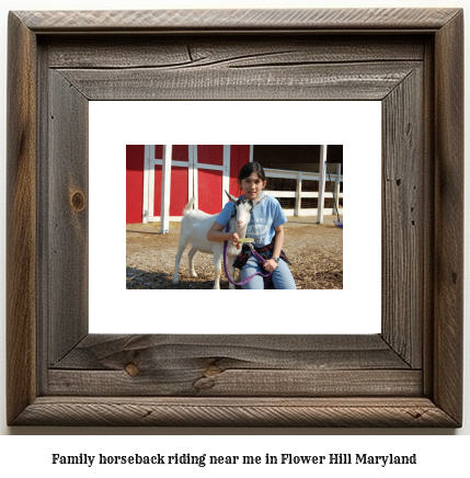 family horseback riding near me in Flower Hill, Maryland